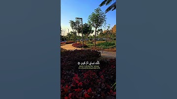 #سورة_الشعراء #shrots #quran #الشيخ_ياسر_الدوسري#الذي_خلقني_فهو_يهدين