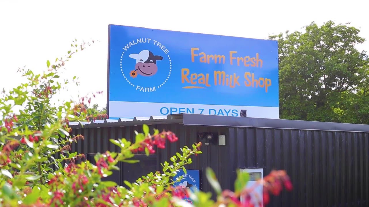 new zealand currency Open2view NZ - ID# 440590 - 512 Welcome Bay Road