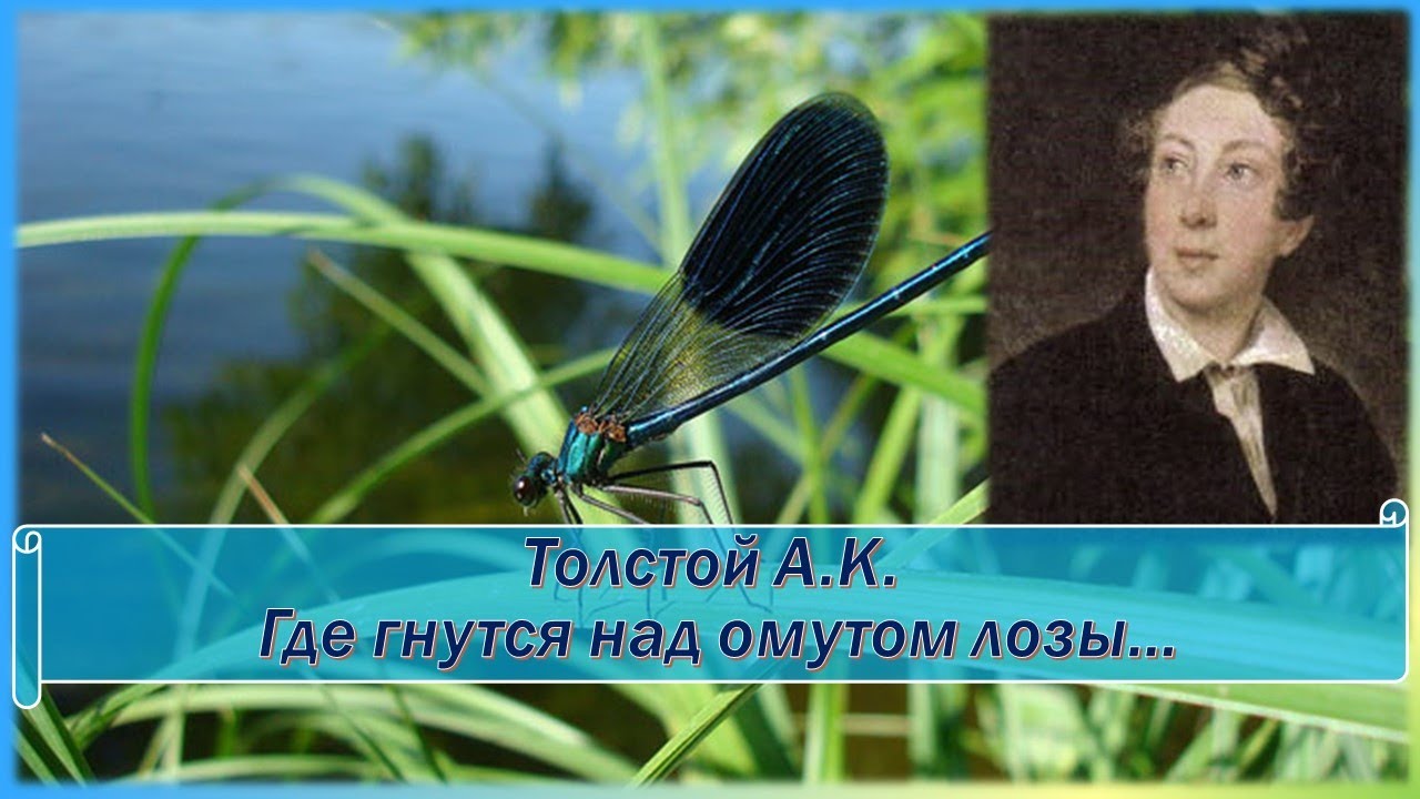 где гнутся лозы