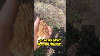 Geç Kalsak Sadece Hikâyesini Dinlerdik