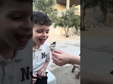 جاد عمل اصغر بوظة بالعالم😅