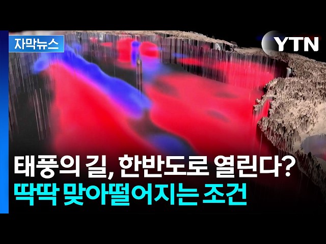 유례없는 바다 상황...올여름 한반도 '태풍 경고등' [자막뉴스]  / YTN