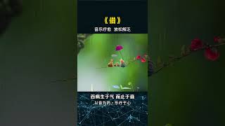 Borrowed Time a gentle guzheng melody for quiet reflection and peace #guzheng #relaxing