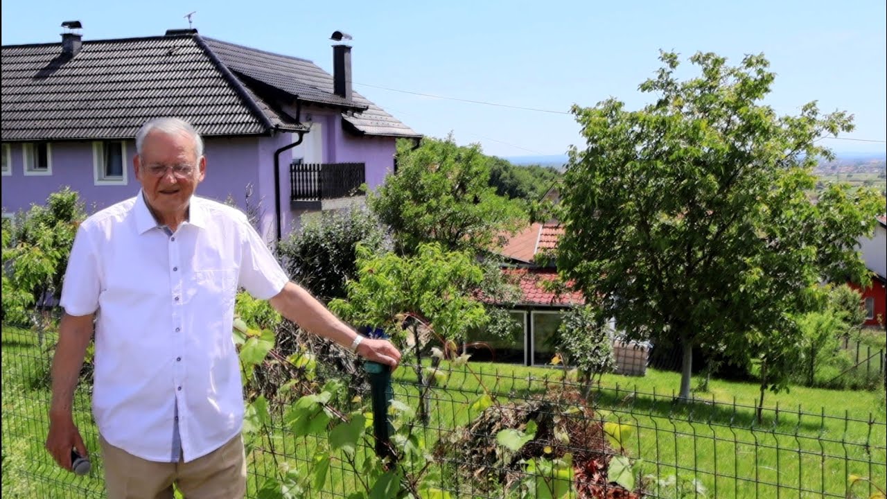 Ante Bubalo - Pjesma za gradonačelnika Dusparu (official video Music)