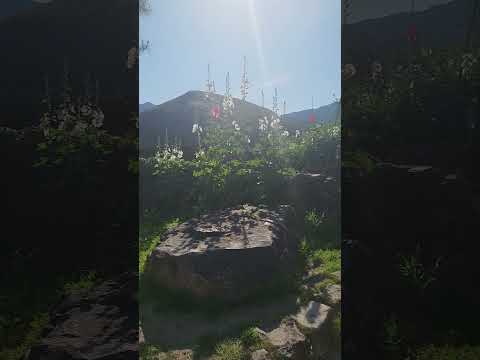 #빈예서노래 / 굴비~~~♧♧