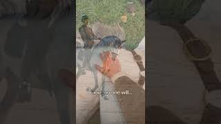 rip emporio sorry for ur loss @matt_harnacke