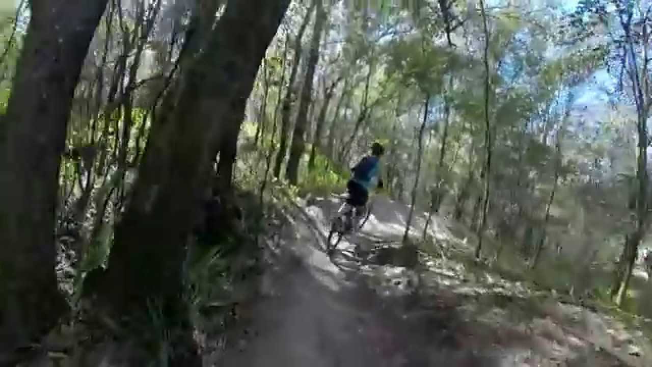 alafia mtb trail