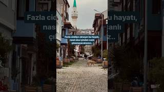 Hayatı Sevin, Önemsiz Şeyleri Ciddiye Alıp Sizi Üzmesine Izin Vermeyin 🤍...Isev