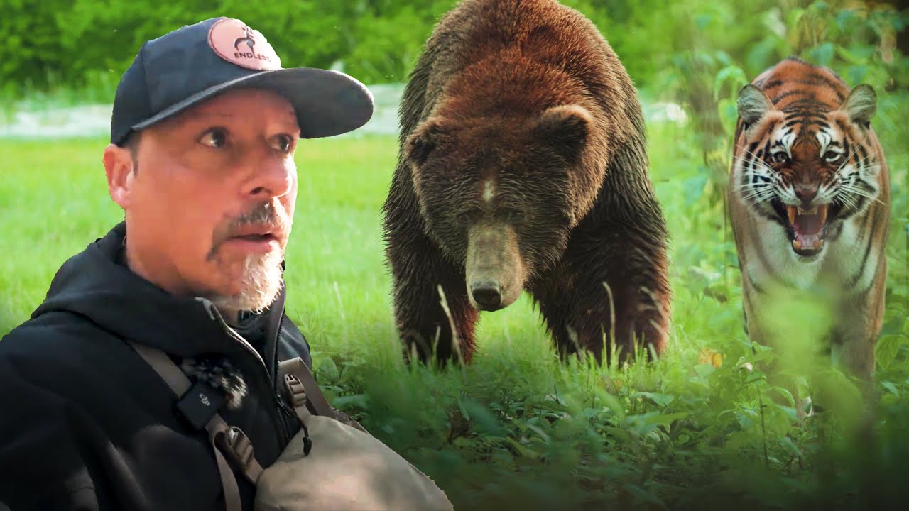 Risking my Life in Pursuit of Extreme Wildlife Encounters - YouTube