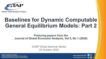 Baselines for Dynamic Computable General Equilibrium Models: Part 2