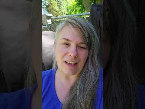 Mindfulness Creativity On Zen Habits Podcast 