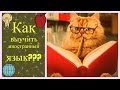 КАК выучить ИНОСТРАННЫЙ ЯЗЫК??? Секреты полиглота..:)