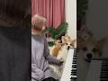 輝く未来/小此木麻里,畠中洋✨covered by れいちょる #ラプンツェル #歌ってみた #輝く未来