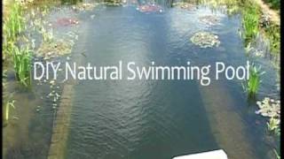 How to build a chemical free natural swimming pool for fraction of the
cost commercial installation by david pagan-butler. an instructional
dvd bui...