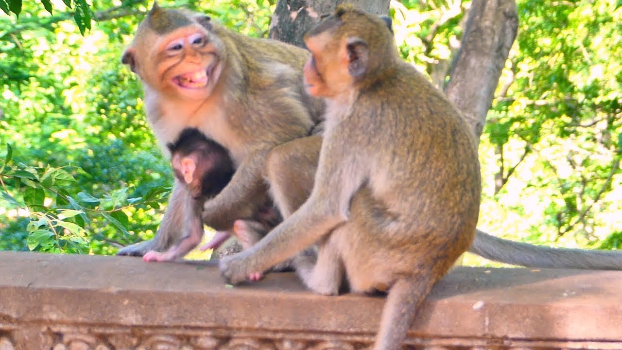 Oh no! Why did Bella suddenly frighten her sister Berron like that? What happened?