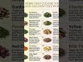 #viral #healthy u #herbs