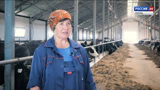 картинка: В центре внимания. СПК колхоз 