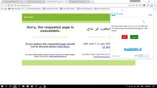 Unblock blocked websites with PP VPN screenshot 5