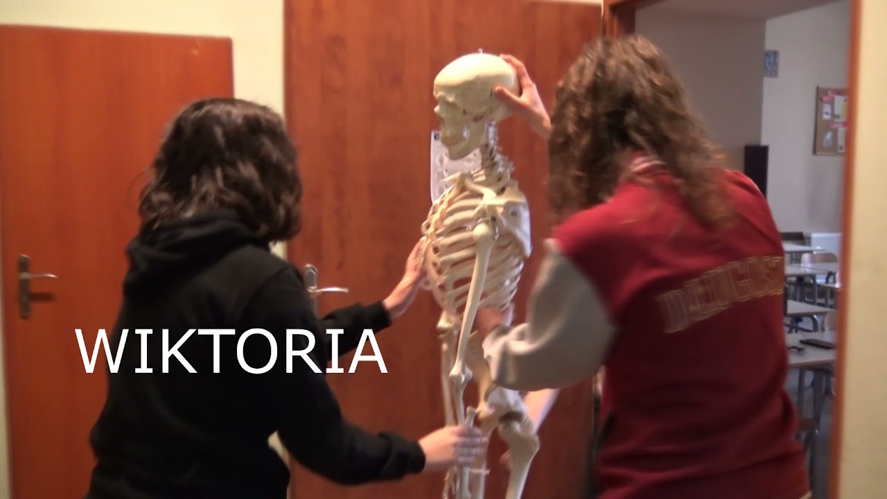 Angielski w medycynie -1LO Nowy Sącz