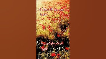القرآن الكريم/سورة يونس القارئ الحاج عامر الكاظمي/اللهم صل وسلم على نبينا محمد