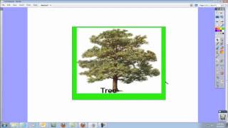 Promethean ActivInspire Software Grouping