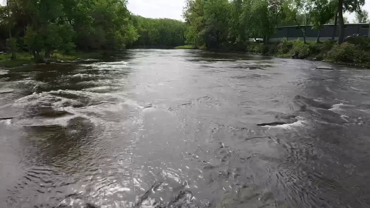 Cazenovia Creek, West Seneca, New York May, 2020 YouTube