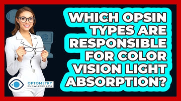 Which Opsin Types Are Responsible For Color Vision Light Absorption? - Optometry Knowledge Base