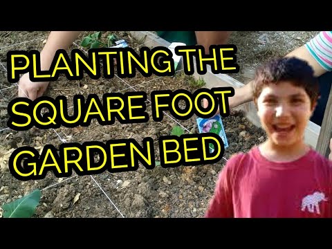 automatic waterers for horses reviews Planting Our Square Foot Raised Bed Gardens