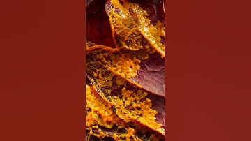 How Fungi Uses Their Own Environment To Grow #Nature #Fungi