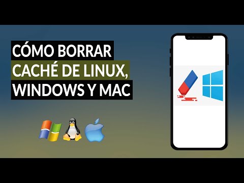 ¿Cómo Borrar los Archivos Temporales o Caché de Windows, MacOS y Linux?