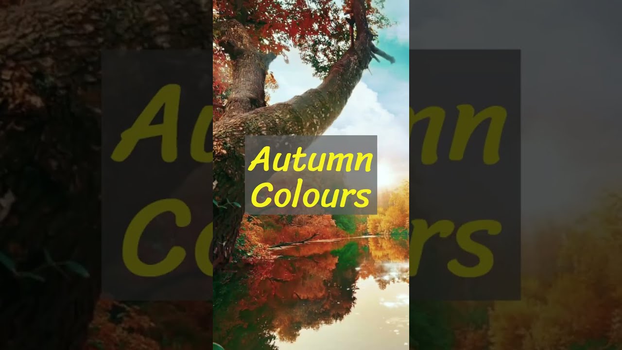 Autumn Colours Mindful Meditation 
