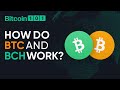 How do Bitcoin and Bitcoin Cash work? - Bitcoin 101