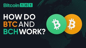 How do Bitcoin and Bitcoin Cash work? - Bitcoin 101