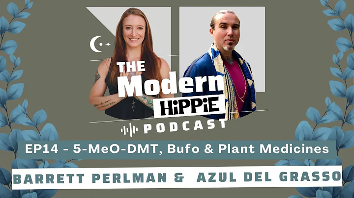 The Modern Hippie Podcast EP14: 5-MeO-DMT, Bufo & ...