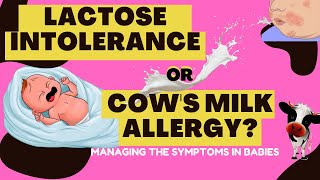 Does your Baby Have Lactose Intolerance Or Cows Milk Allergy?