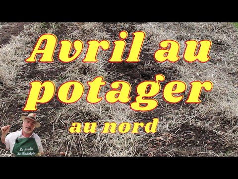 Vidéo: Jardinage de la région de l'Ouest : plantation d'avril dans l'Ouest