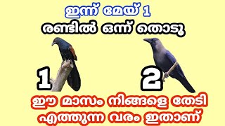 ഒരു ആവശ്യം പറഞ്ഞ് തുറക്കു നിങ്ങൾ ചോദിക്കുന്നത് നടക്കുമോ ഇല്ലയോ എന്ന് അറിയാം. jyothisham Malayalam...