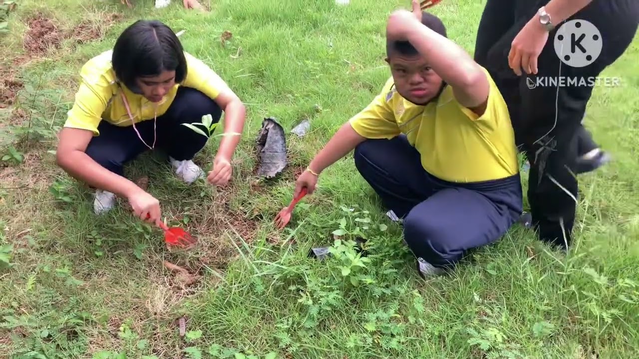 กิจกรรมเด็กดีมีจิตอาสา ปลูกป่ารักษาธรรมชาติ