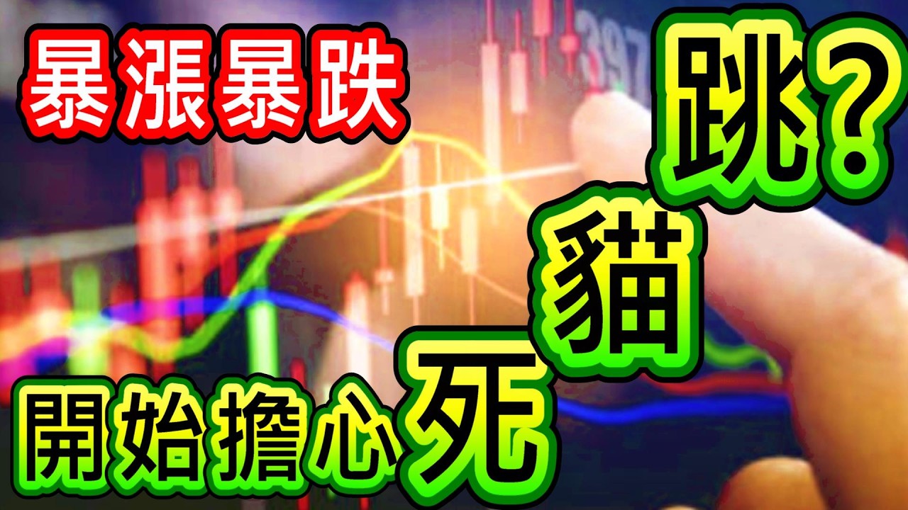 【存股人生】暴漲暴跌！你是不是開始擔心死貓跳？【卡哇KAWA】