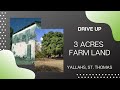 Drive Up : 3 Acres Farm Land For Sale  in Yallahs St Thomas Jamaica