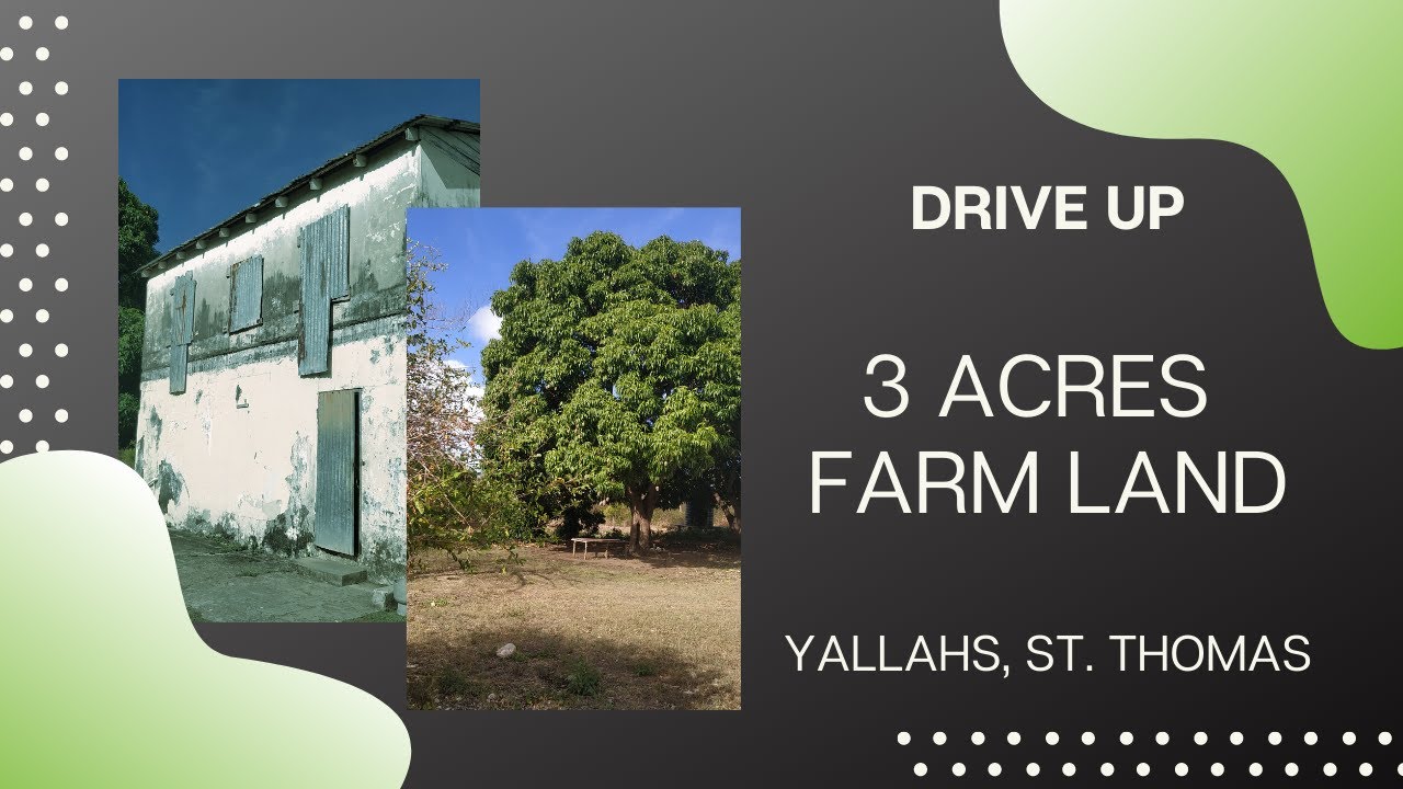 Drive Up 3 Acres Farm Land For Sale in Yallahs St Thomas Jamaica