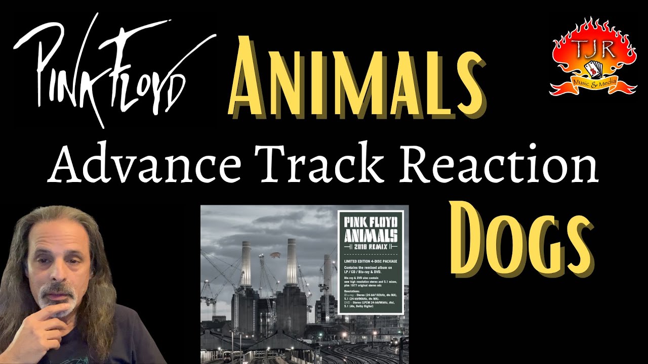 Pink Floyd Dogs 2018 Remix Reaction YouTube