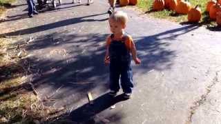 Kleather's Pumpkin Patch 2013