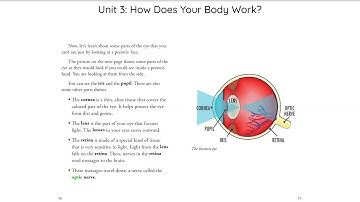 Unit 3 Chapter 7 Eyes and Vision CKLA 3rd Grade