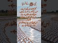 حوض کوثر رسول الله صلی اللہ علیه وآله وسلم جنت نہر نبیﷺ الله 
