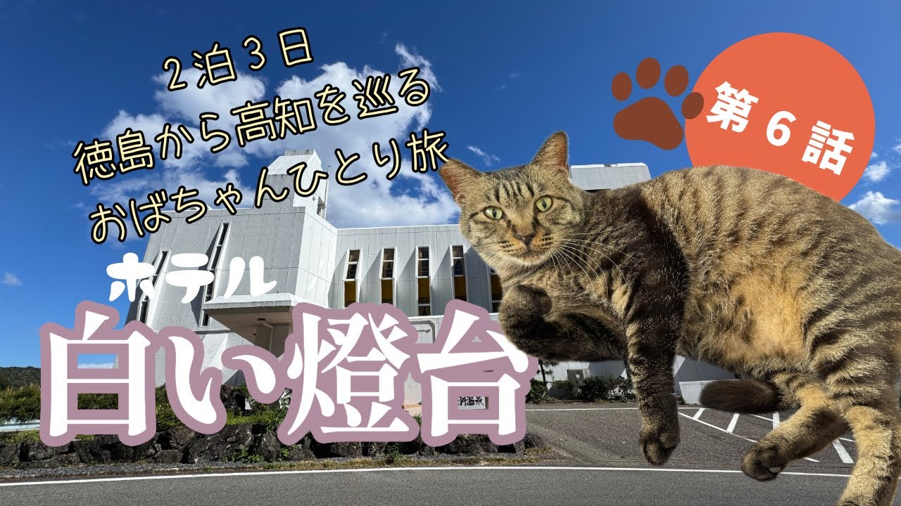 第6話　ホテル白い燈台〜徳島から室戸岬まで巡るおばちゃん2泊3日のひとり旅/南海フェリー公共交通機関でいく！時々レンタカー［看板猫がいるホテル］