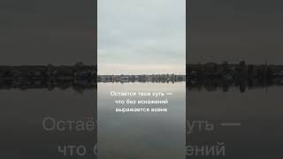 Где небо, а где отражение? Когда внутри тишина - мир ясен #философия #внутренниймир  #присутствие