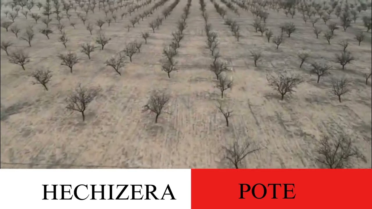 Aquí os dejo esta carrera de Hechizera y POTE para estas navidades, FELIZ NAVIDAD GALGUEROS/AS !!