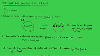 Estimating the size of cells