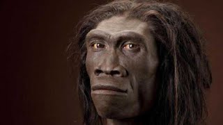 Pithecanthropus Erectus: Leluhur Kita dari Zaman Purba!